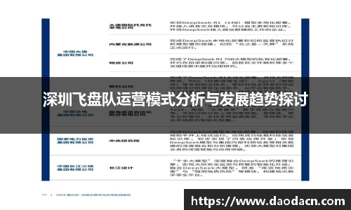 深圳飞盘队运营模式分析与发展趋势探讨